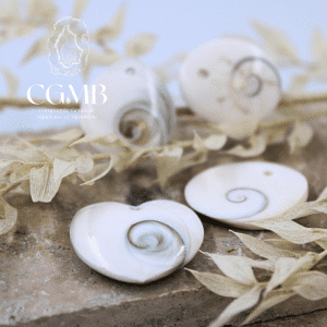 Pendentif en Oeil de sainte Lucie - Coquillage