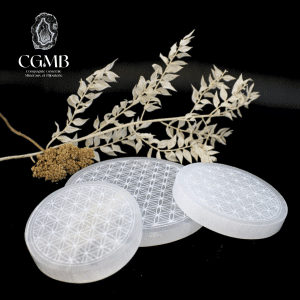 Plaque fleur de vie en Gypse