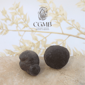 Concretion de Calcite brute