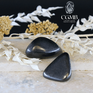 Galet en Shungite