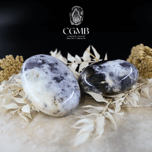 Galet en Opale Dendrite