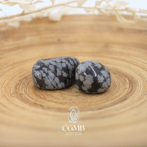 Obsidienne Mouchetée